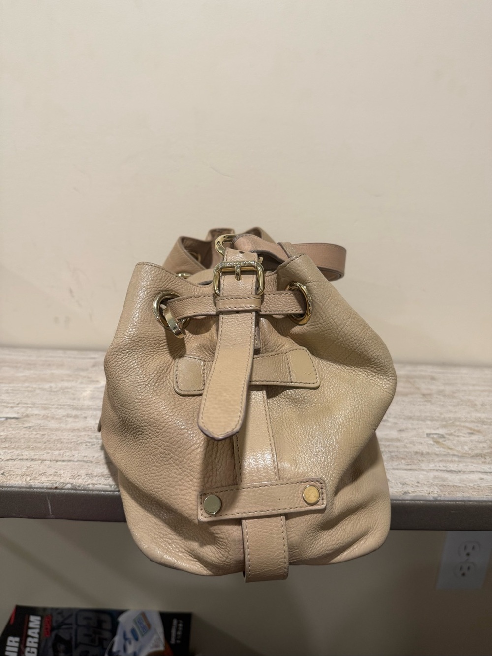 Jimmy Choo Beige Ramona Leather Shoulder Bag with Gold Hardware - Picture 8 of 16